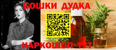 крисы Будённовск
