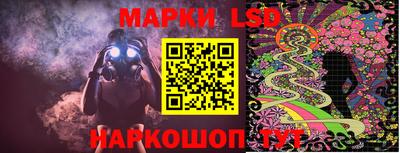 крисы Будённовск