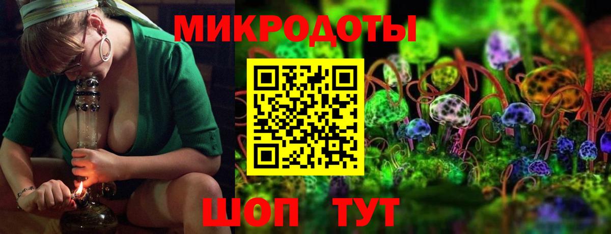 Псилоцибиновые грибы Psilocybine cubensis Прокопьевск