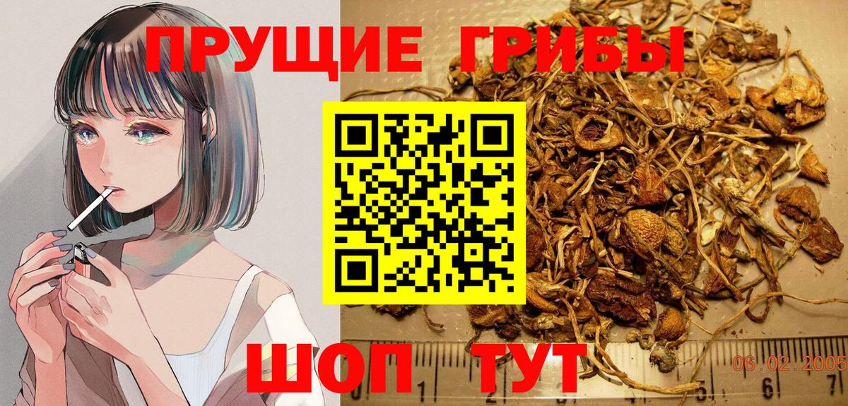 Псилоцибиновые грибы ЛСД  закладки  Псилоцибиновые грибы Cubensis  Прокопьевск  Вход с VPN 